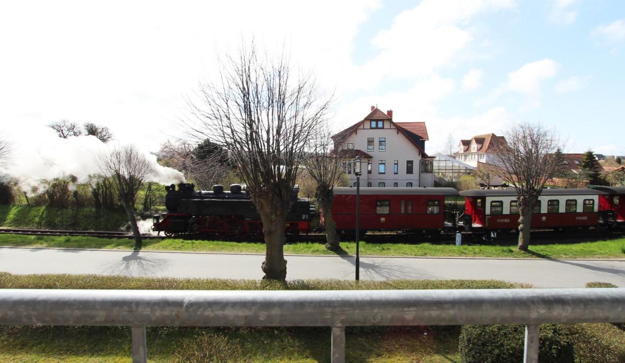 Ferienwohnung Am Molli Nr. 1 Ostseebad Kühlungsborn 외부 사진